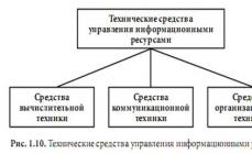 Основные элементы, порядок функционирования ИС Понятие и назначение информационной системы